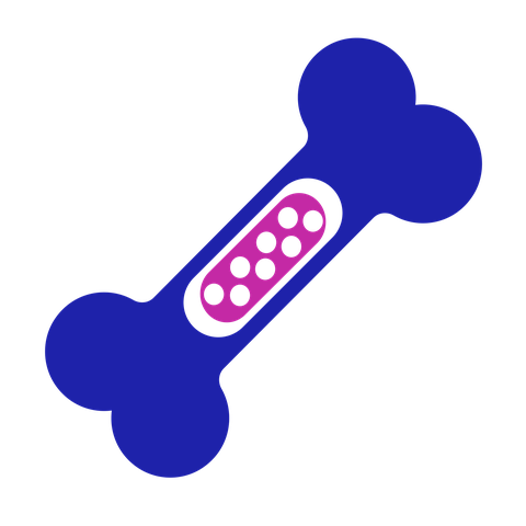 Bone marrow icon: a bone with a cutaway centre showing it is full of cells