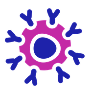 CAR-T cell icon: a round cell with a nucleus. On the surface of the cell are Y-shaped proteins.