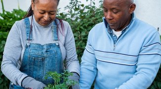 Treatment-free remission for chronic myeloid leukaemia (CML)